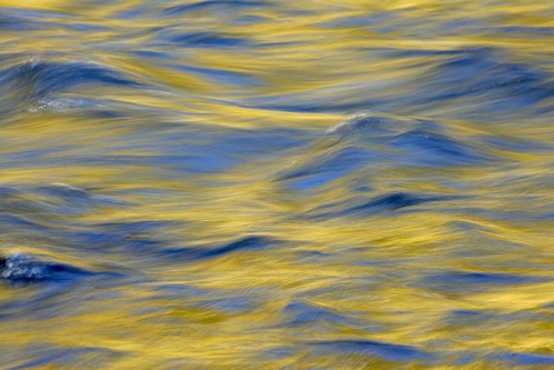 Textures;Shapes;Patterns;Abstractions;Abstract;Reflections;Reflection;Plant;Trunk;Bark;Leafy;Branches;Branch;Woodland;Herbaceous;Shrub;Bush;Trees;Tree Trunk;Brook;Creek;Rivulet;Streamlet;Stream;Rivers;River;Riverbed;Water;Flowing;waterway;stream;creek;brook